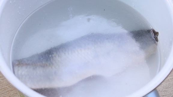 селёдка залитая смесью минеральной и кипяченной воды